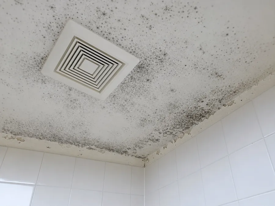 Dark mold speckling spread across a bathroom ceiling around the exhaust fan grille and along the tiled shower wall