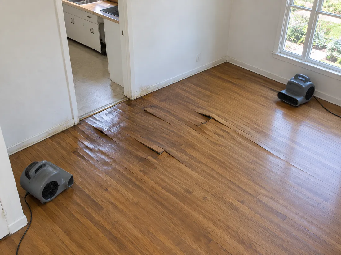 Oak strip flooring cupped and lifting beside a kitchen doorway, with two air movers set up to dry it